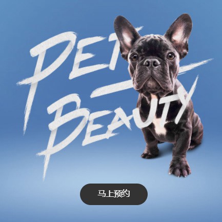 下陆宠物中心小程序开发